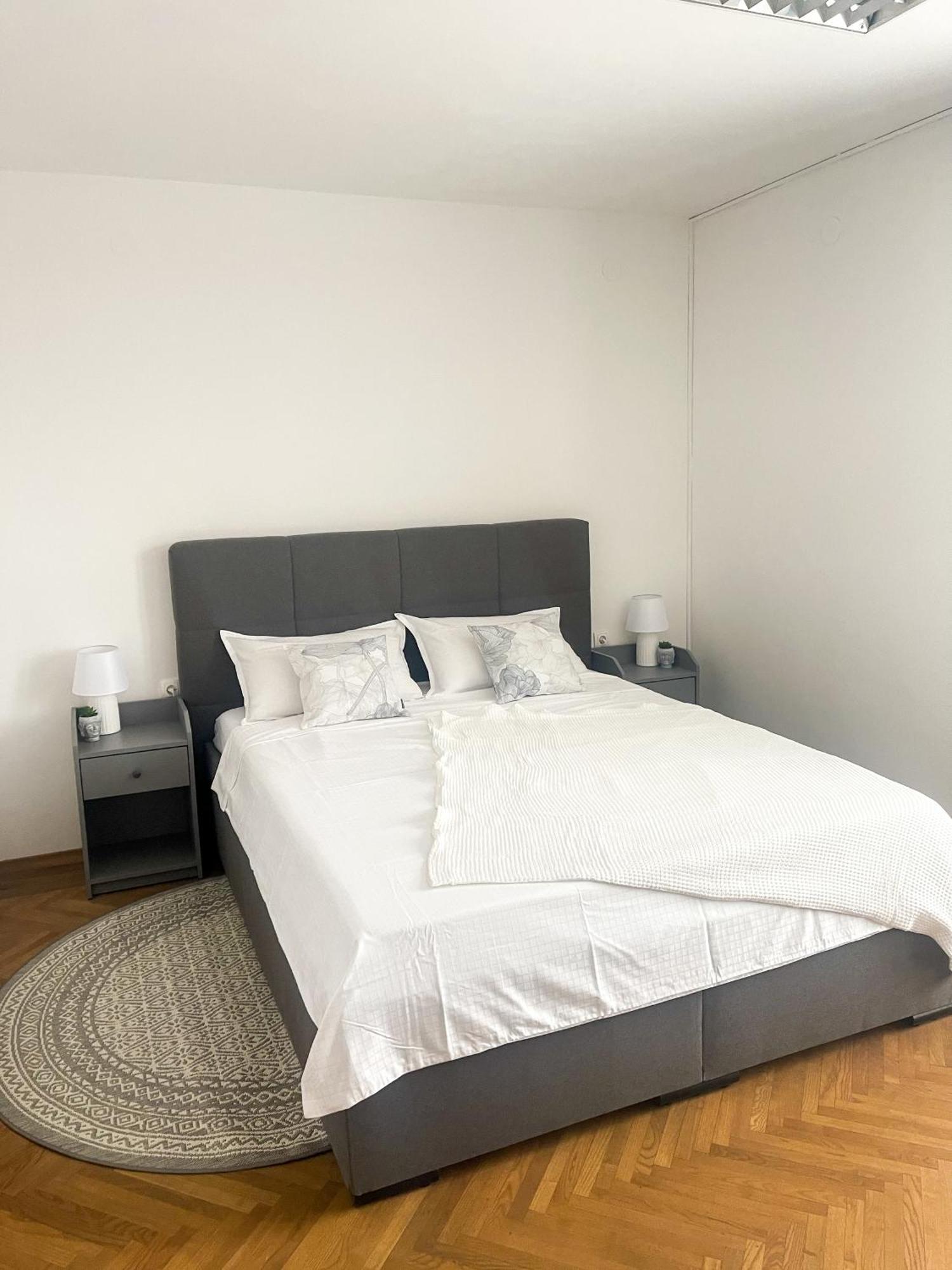 Spacious Cozy Apartment Laibach Exterior foto